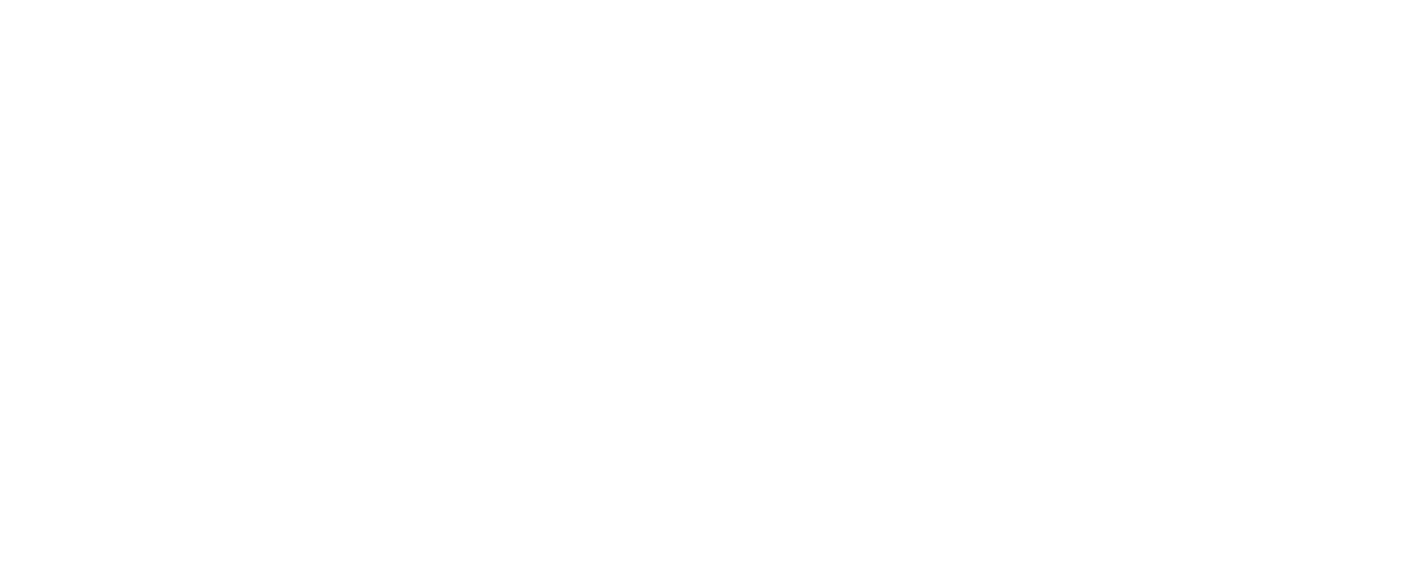 logo pilotów 21 biały